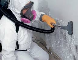 Best Industrial Mold Remediation  in Beaverton, OR